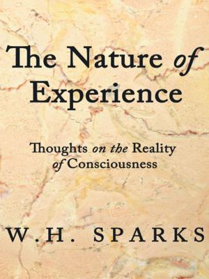 bigCover of the book The Nature of Experience by 