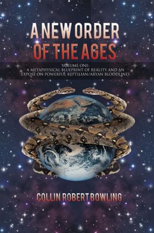Cover of the book A New Order of the Ages by Roxie Hairston