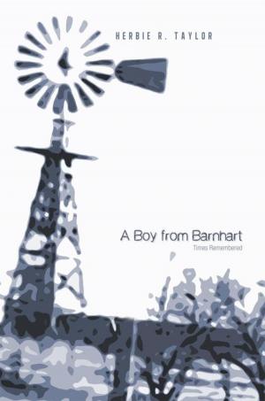 Cover of the book A Boy from Barnhart by John W. Anderson