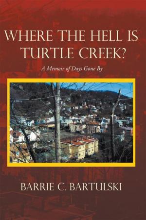 Cover of the book Where the Hell Is Turtle Creek? by Sparhawk Hutchins