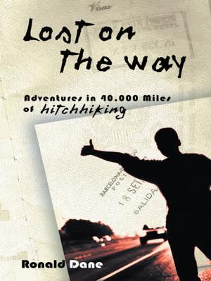 Cover of the book Lost on the Way by Kaye Stein