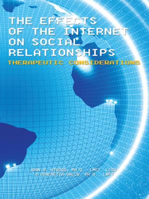 Book cover of The Effects of the Internet on Social Relationships