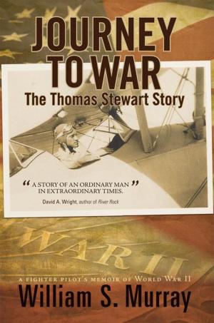 Cover of the book Journey to War by David Lee Thompson