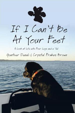 Cover of the book If I Can't Be at Your Feet by Rosemary McCarthy