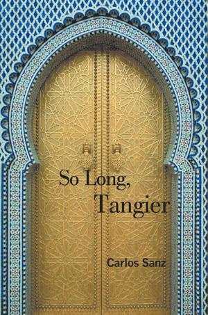 Cover of the book So Long, Tangier by Dr. David R. Grimm