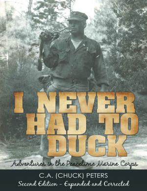 Cover of the book I Never Had to Duck by Guy Franks