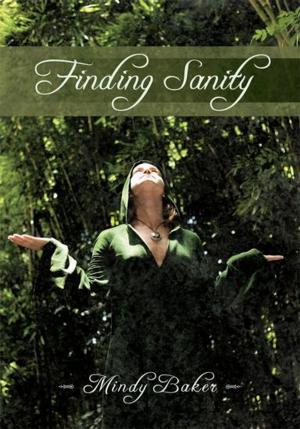 bigCover of the book Finding Sanity by 