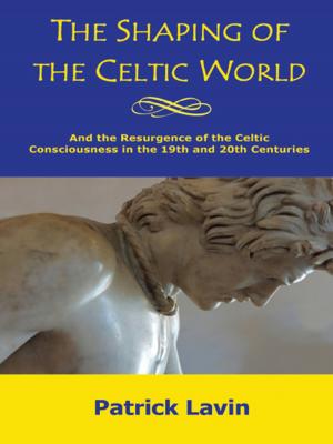 Cover of the book The Shaping of the Celtic World by Gay J. Lindquist