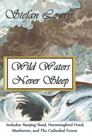 Cover of the book Wild Waters Never Sleep by Ken Hancherick