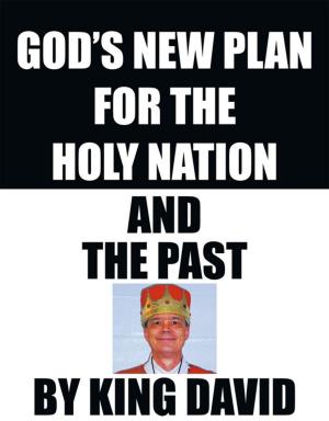 Cover of the book God's New Plan for the Holy Nation and the Past by Mac Goddard