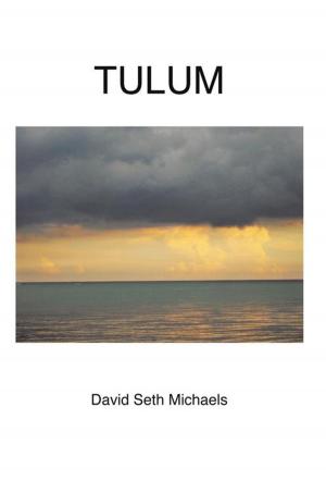 Cover of the book Tulum by Robb McDaniel