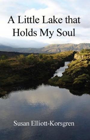 Cover of the book A Little Lake that Holds My Soul by Jon R. Wolowicz