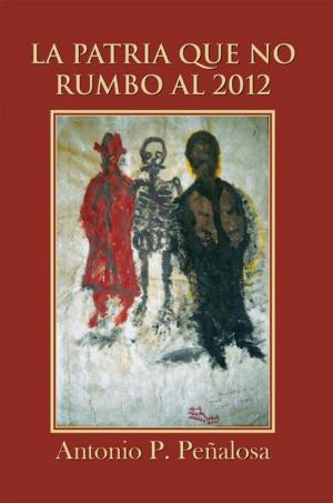 Cover of the book La Patria Que No Rumbo Al 2012 by Beatriz Griffin
