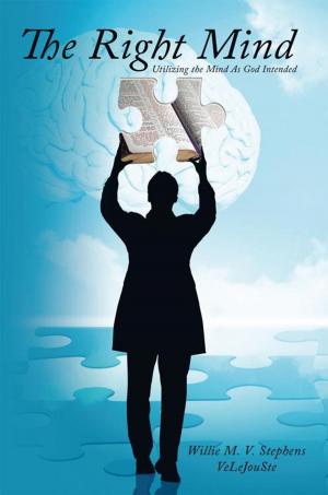 Cover of the book The Right Mind by R. R. DeBenedictis