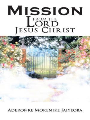 Cover of the book Mission from the Lord Jesus Christ by Nancy Ashworth.
