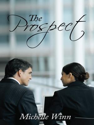 Cover of the book The Prospect by Lita Eitner-England