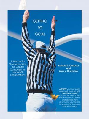 Cover of the book Getting to Goal by R.E. Metzel