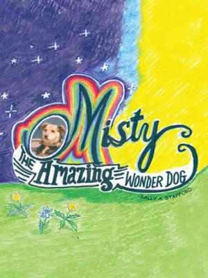 Cover of the book Misty by Sandra Elizabeth Redmond