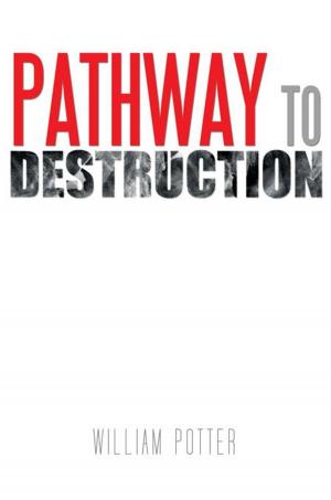 Book cover of Pathway to Destruction