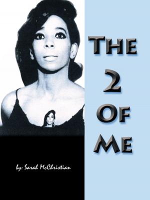 Cover of the book The 2 of Me by Ann Widdifield