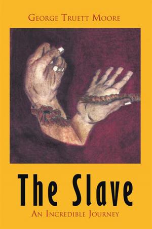 Cover of the book The Slave by E'ShaVonne