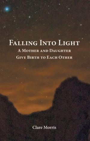 Cover of the book Falling into Light by Gisèle Lamontagne