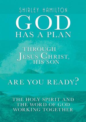 Cover of the book God Has a Plan by Desmond Skyers
