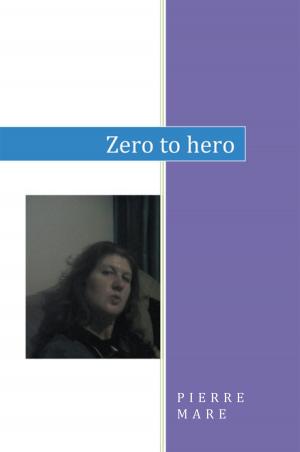 Cover of the book Zero to Hero by Karen Elizabeth