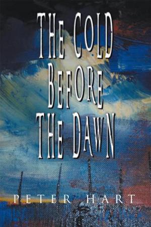 Cover of the book The Cold Before the Dawn by Nancy R. Lee
