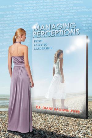 bigCover of the book Managing Perceptions by 
