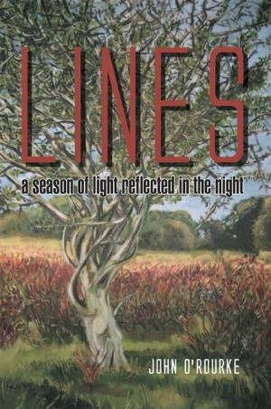 Book cover of Lines - a Season of Light, Reflected in the Night