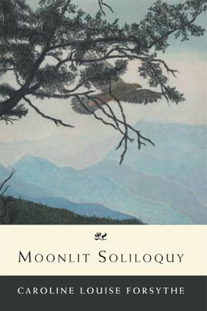 Cover of the book Moonlit Soliloquy by Ahilé Nicolas Koudou