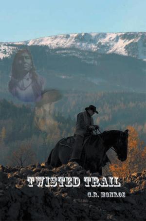 Cover of the book Twisted Trail by John F. Foster