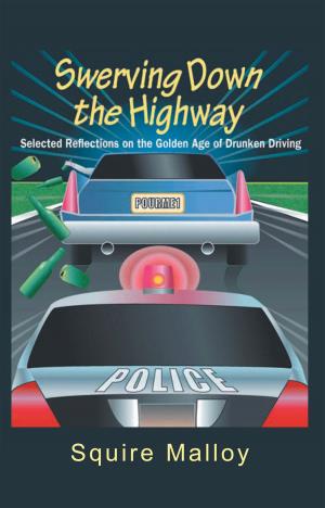 Cover of the book Swerving Down the Highway by Marion P. Myers