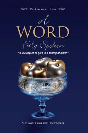 Cover of the book A Word Fitly Spoken by Funmi Afolabi