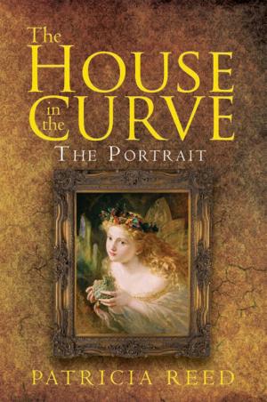 Cover of the book The House in the Curve by Linda Kandelin Chambers