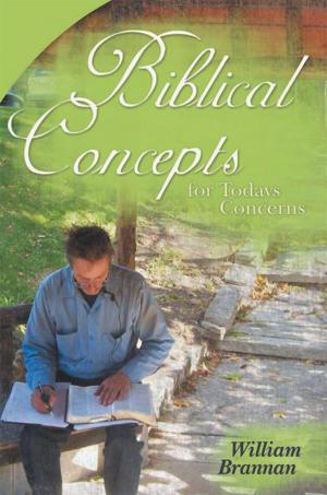 bigCover of the book Biblical Concepts for Todays Concerns by 