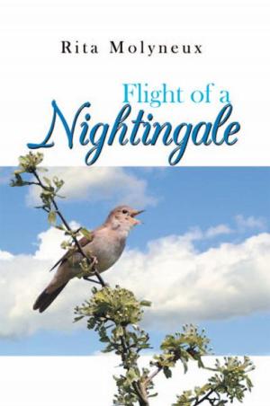 Cover of the book Flight of a Nightingale by Thembi J Bereta