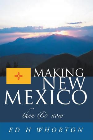 Cover of the book Making New Mexico by Allan Joseph Yutis Lasquite