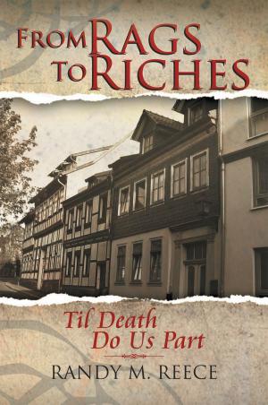 Cover of the book From Rags to Riches by Don S. Walker, Steven Craig Smith
