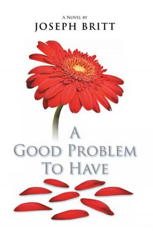 Cover of the book A Good Problem to Have by Bettye J. Wiley Hooks