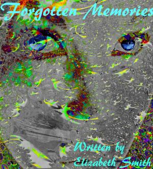 Cover of the book Forgotten memories (Book 1 of the Nevelair Chronicles) by Barbara Lund