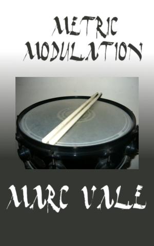 Cover of the book Metric Modulation by Jeremy Duns