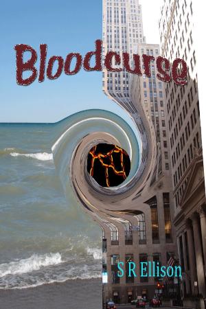Cover of the book Bloodcurse by Adam Heine