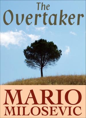 Book cover of The Overtaker