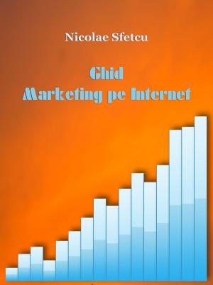 Cover of the book Ghid Marketing pe Internet by Nicolae Sfetcu