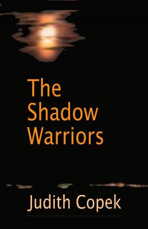 Cover of the book The Shadow Warriors by Vinnie Hansen