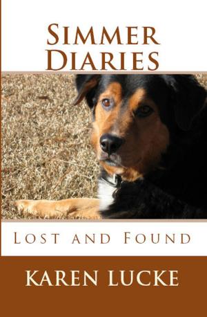 Book cover of Simmer Diaries