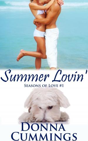 Cover of the book Summer Lovin' by Abbie Zanders