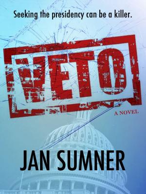 Cover of the book VETO Seeking the presidency can be a killer! by Peter David